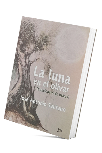 Presentación del poemario 